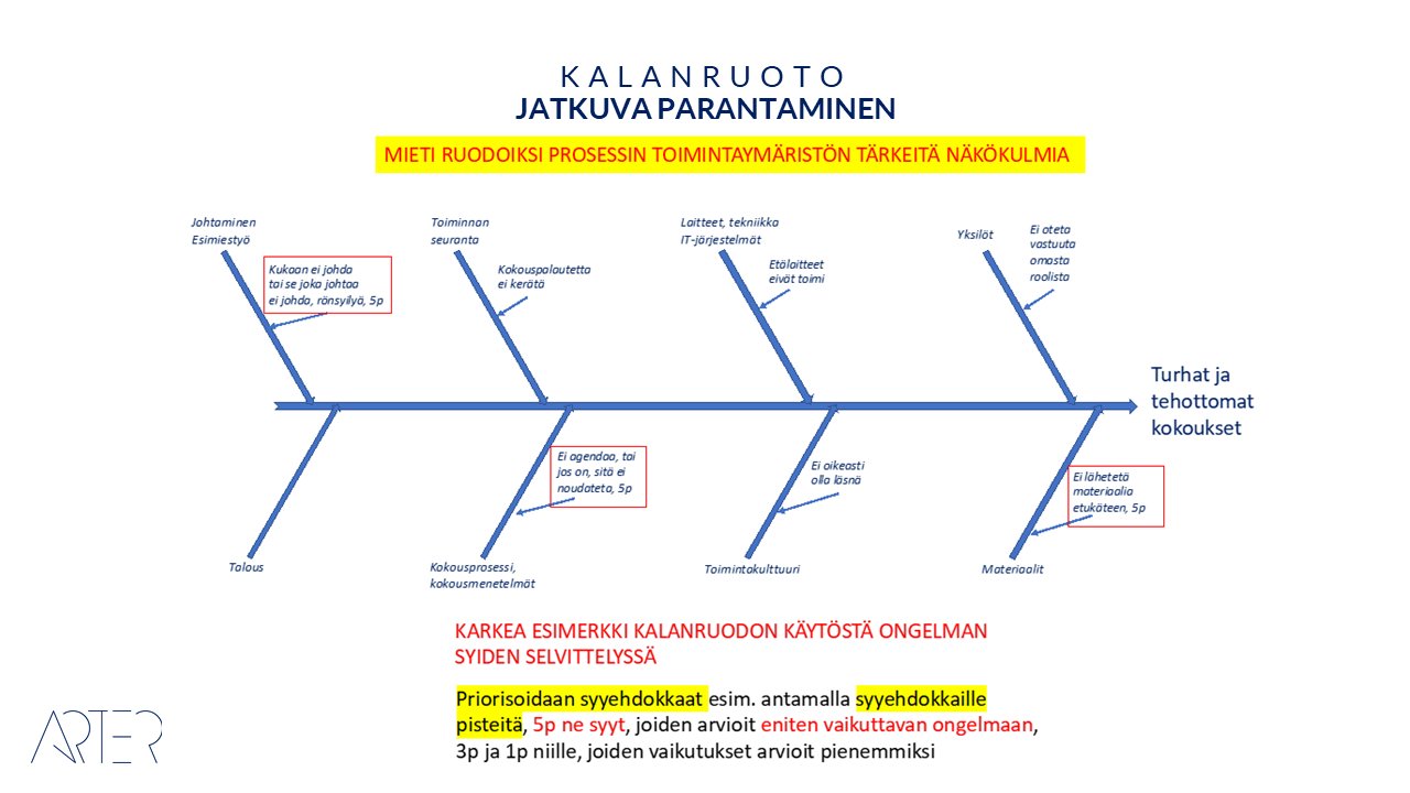 Juurisyy analyysi: Kalanruoto, Arter Oy